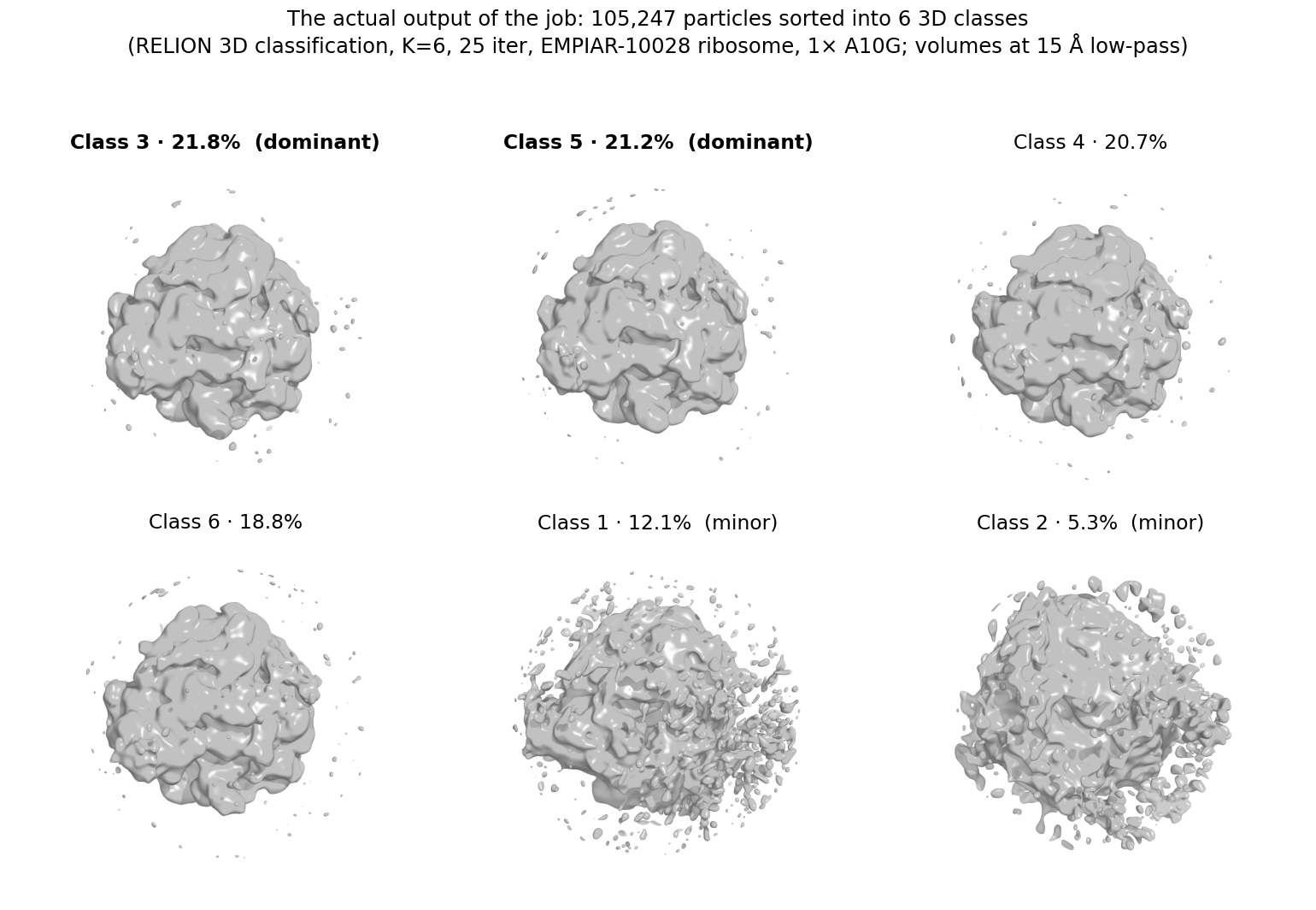All six 3D class volumes from the job, ordered by particle fraction — four substantial ribosome classes (21.8% / 21.2% / 20.7% / 18.8%) plus two minor ones (12.1%, 5.3%). Volumes at 15 Å low-pass