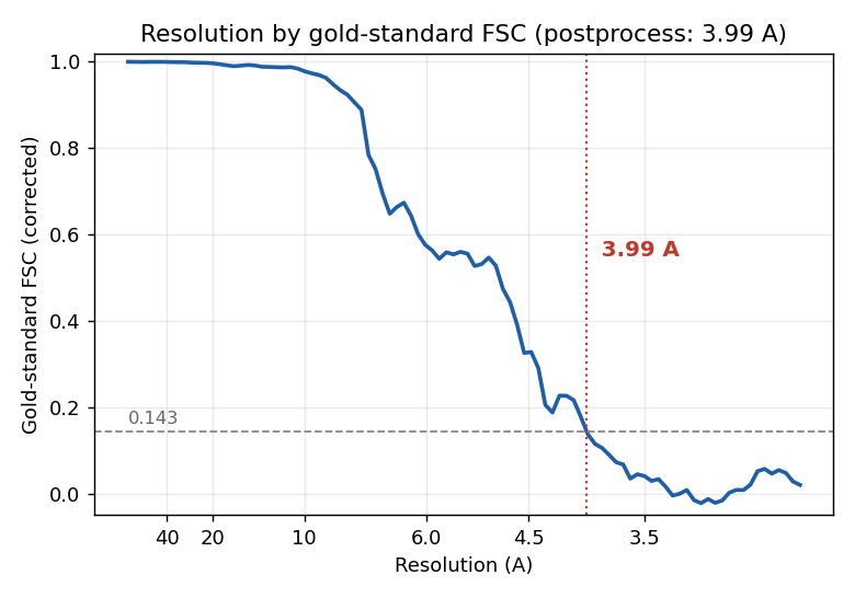 Gold-standard FSC curve for the immature Gag lattice: the corrected FSC crosses the 0.143 threshold at 3.99 A