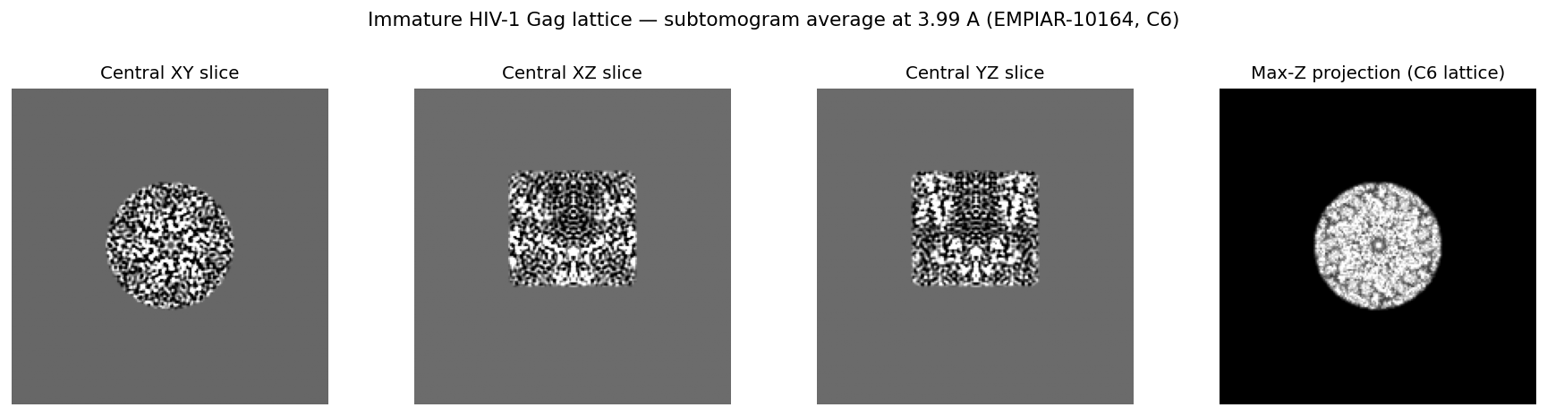 Subtomogram average of the immature HIV-1 Gag shell at 3.99 A: central XY, XZ, and YZ slices plus a max-Z projection of the C6-symmetrized average
