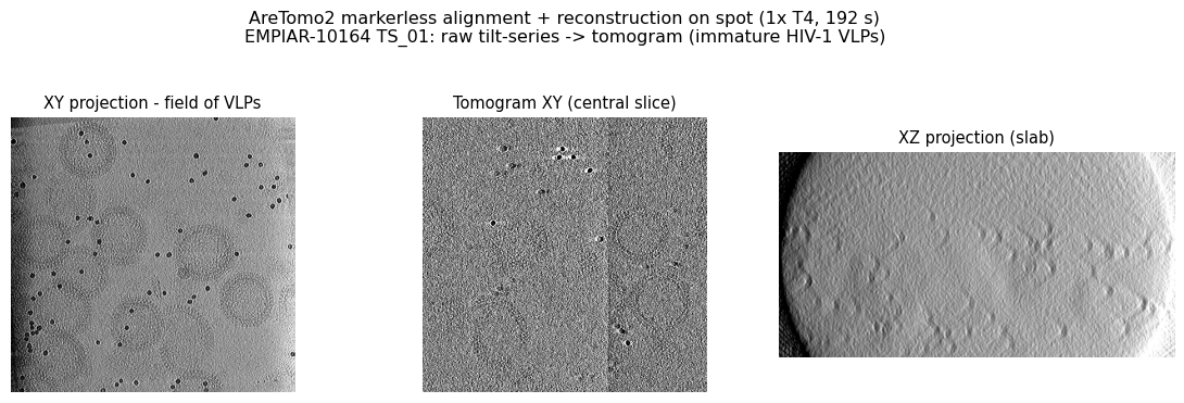 AreTomo2 reconstruction of EMPIAR-10164 TS_01 on a single spot T4 in 192 s: an XY projection showing the field of immature HIV-1 virus-like particles, a central tomogram slice, and an XZ slab projection