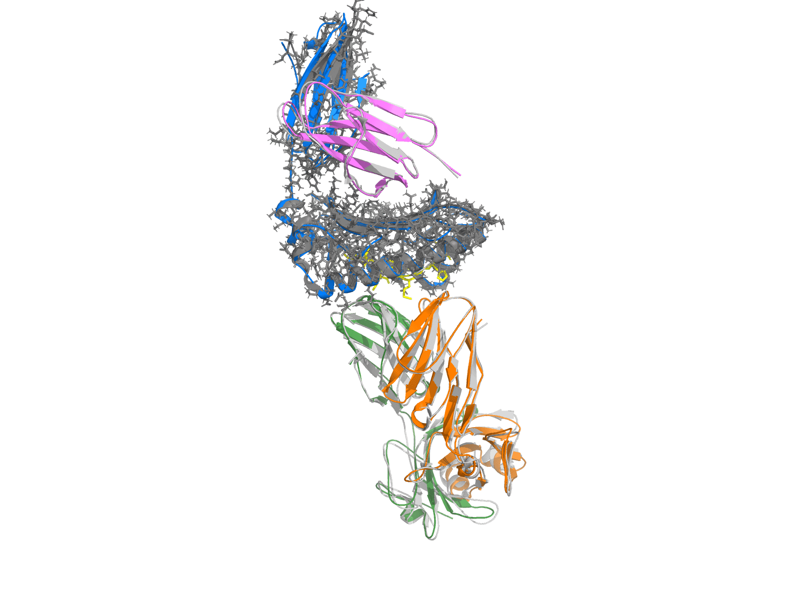 OpenFold3 prediction of 7QPJ (MAGE-A10 cancer-testis TCR) overlaid on the crystal structure — DockQ 0.91, Cα RMSD 0.70 Å
