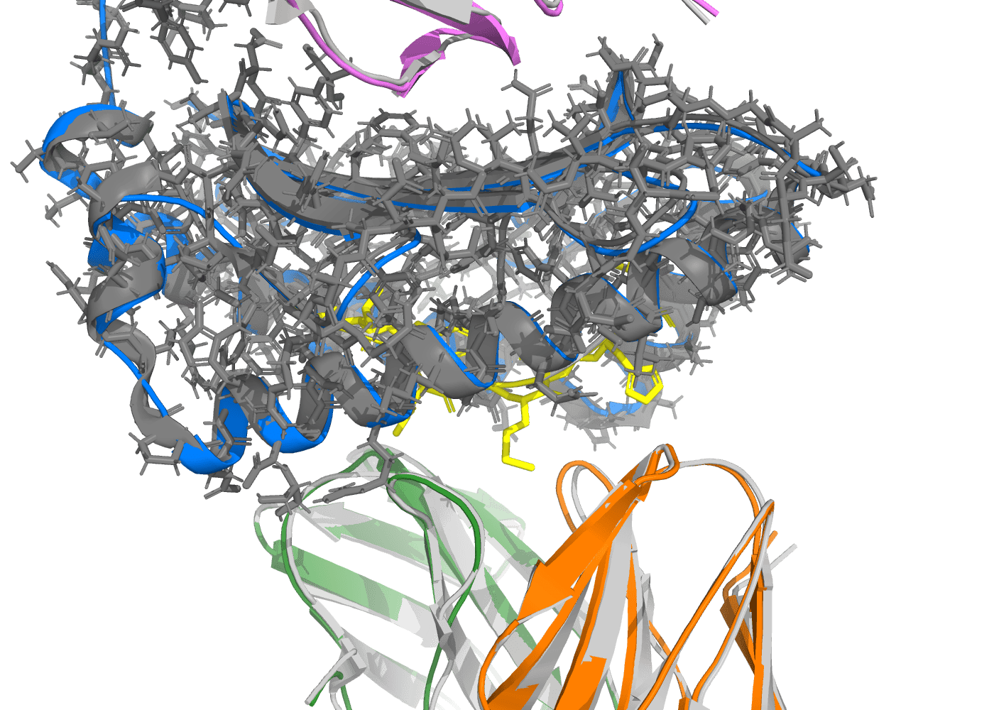 Zoom on the peptide-binding groove and TCR CDR contact face of 7QPJ
